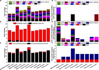 Genome-Wide Identification of Brassinosteroid Signaling Downstream Genes in Nine Rosaceae Species and Analyses of Their Roles in Stem Growth and Stress Response in Apple